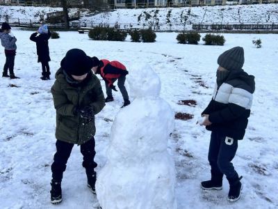 67747213-4737-4960-8560-a184805dfc8b