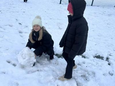 b1186c82-1843-4fdb-96dc-b142c73e52c7